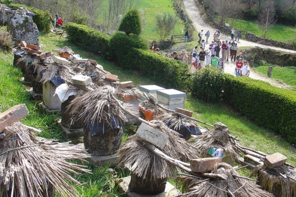 Foto 22 da atividade Galeria de Fotos