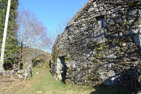 Foto 21 da atividade Galeria de Fotos