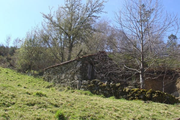 Foto 2 da atividade Galeria de Fotos