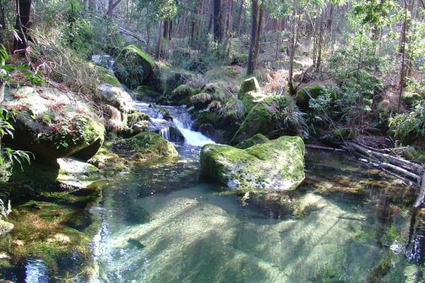 Foto 83 da atividade Galeria de Fotos