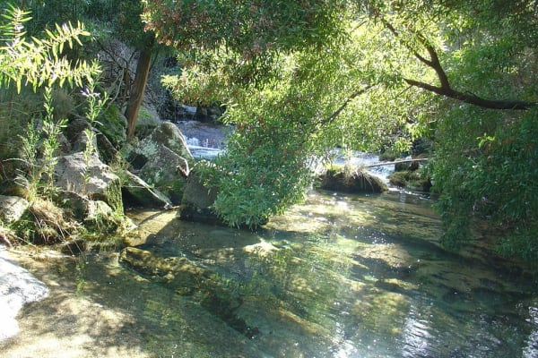 Foto 84 da atividade Galeria de Fotos