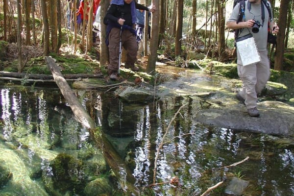 Foto 76 da atividade Galeria de Fotos