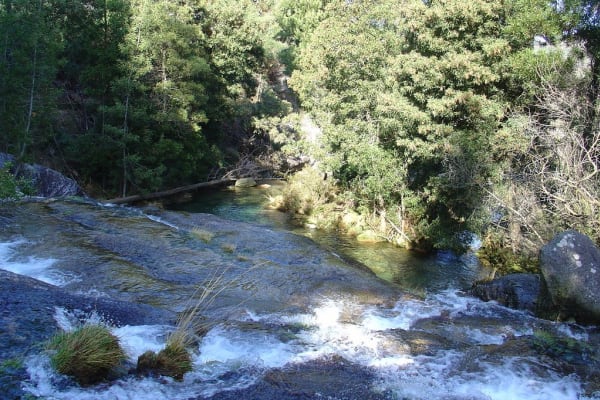 Foto 75 da atividade Galeria de Fotos