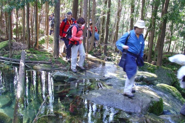 Foto 64 da atividade Galeria de Fotos