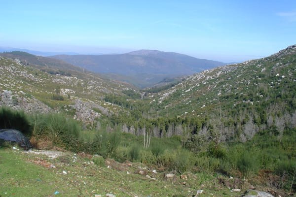 Foto 43 da atividade Galeria de Fotos