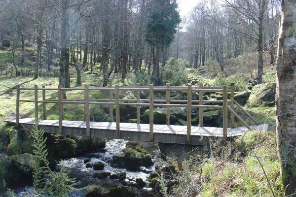 Foto 26 da atividade Galeria de Fotos