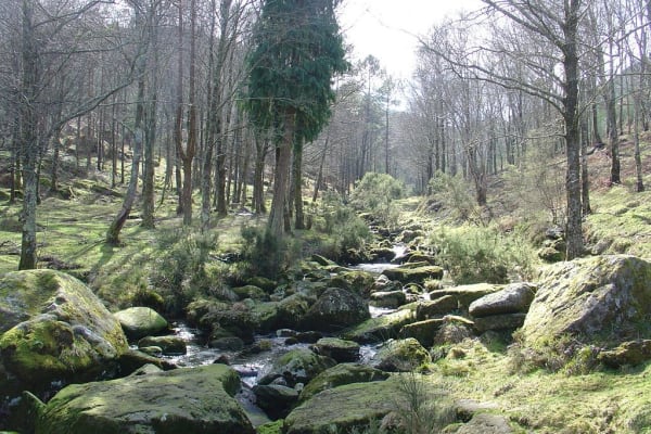 Foto 27 da atividade Galeria de Fotos