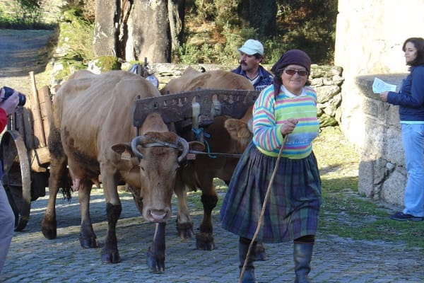 Foto 16 da atividade Galeria de Fotos