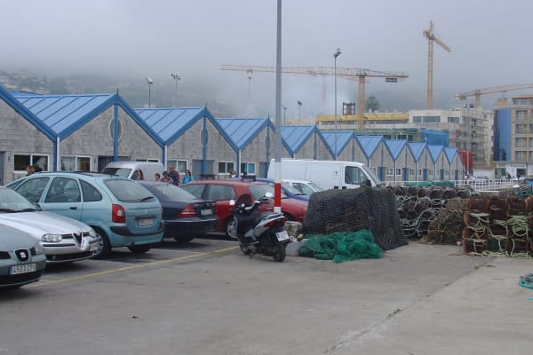 Foto 86 da atividade Galeria de Fotos