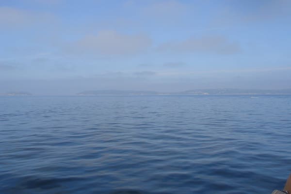 Foto 83 da atividade Galeria de Fotos