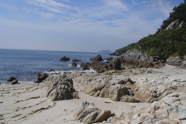 Foto 50 da atividade Galeria de Fotos