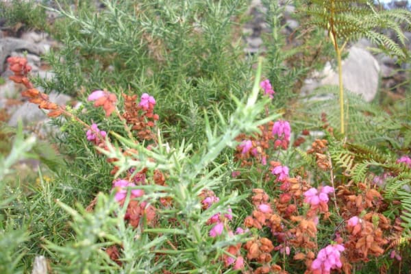 Foto 50 da atividade Galeria de Fotos