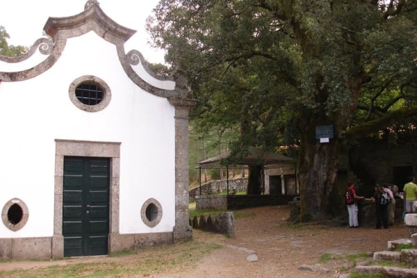 Foto 29 da atividade Galeria de Fotos