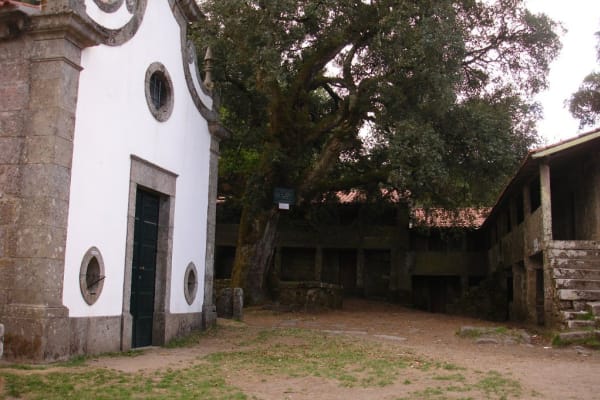 Foto 24 da atividade Galeria de Fotos