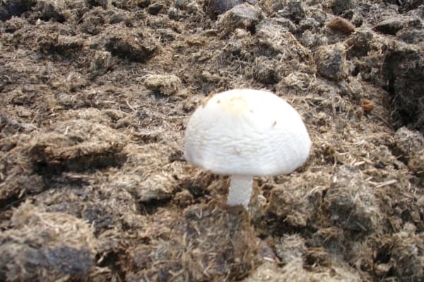 Foto 6 da atividade Galeria de Fotos