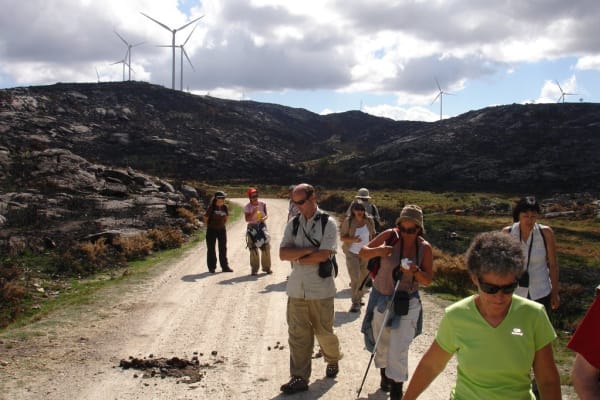 Foto 1 da atividade Galeria de Fotos