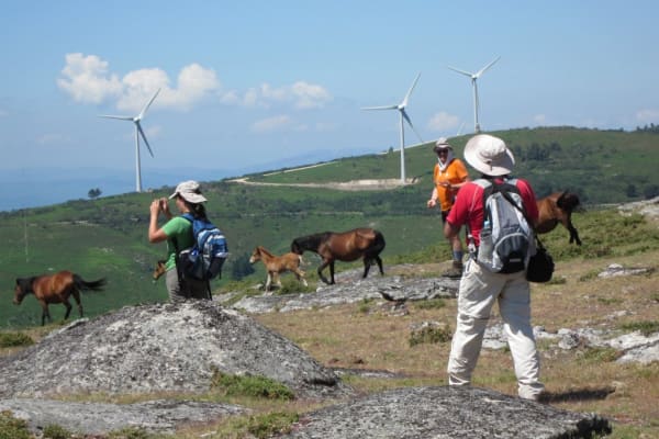 Foto 128 da atividade Galeria de Fotos