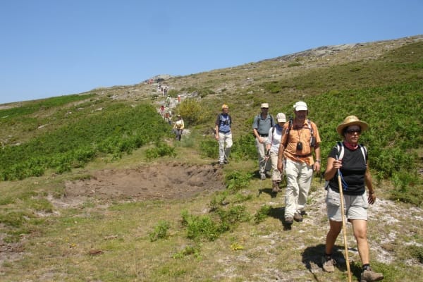 Foto 115 da atividade Galeria de Fotos