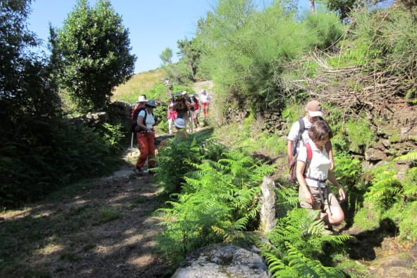 Foto 117 da atividade Galeria de Fotos