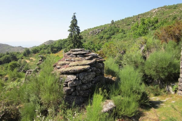 Foto 107 da atividade Galeria de Fotos