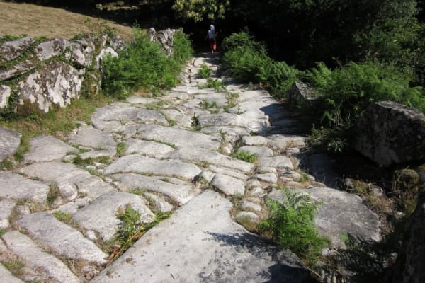 Foto 109 da atividade Galeria de Fotos