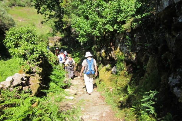 Foto 101 da atividade Galeria de Fotos