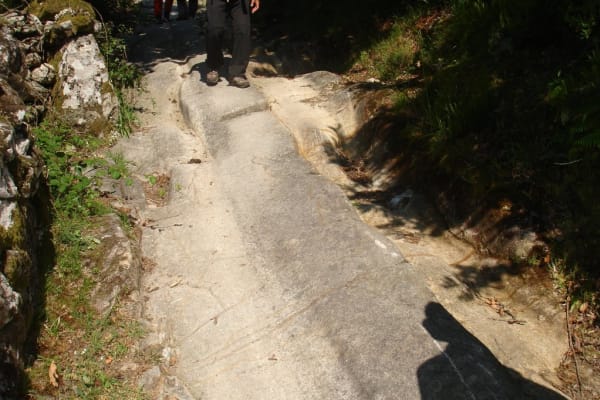 Foto 90 da atividade Galeria de Fotos