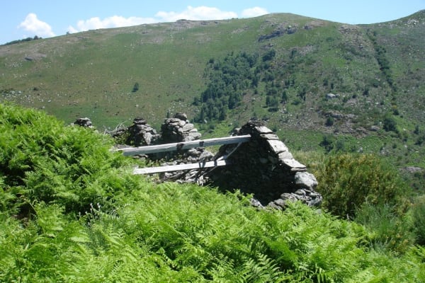 Foto 79 da atividade Galeria de Fotos