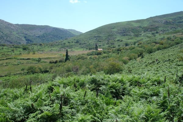 Foto 78 da atividade Galeria de Fotos