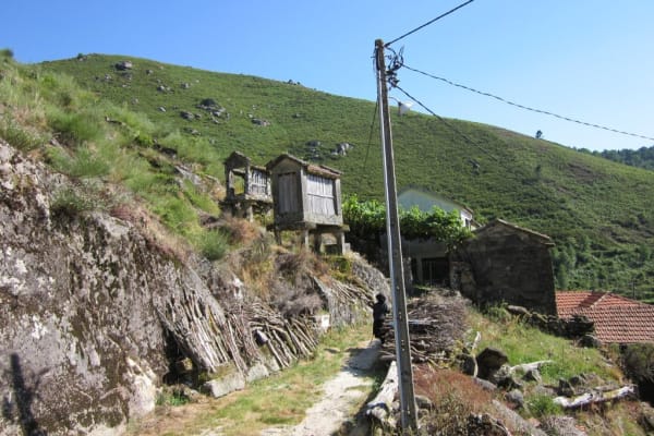 Foto 73 da atividade Galeria de Fotos