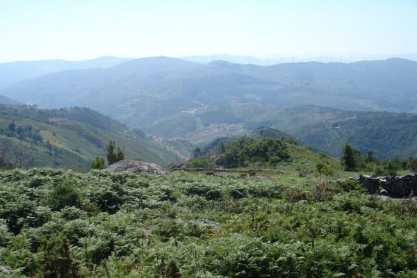 Foto 67 da atividade Galeria de Fotos