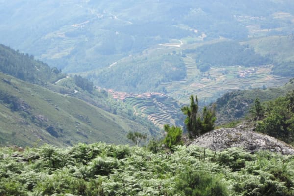 Foto 62 da atividade Galeria de Fotos