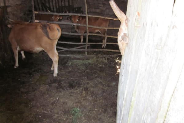 Foto 57 da atividade Galeria de Fotos