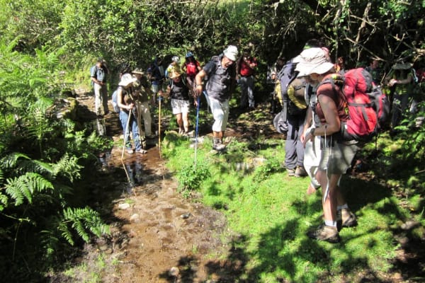 Foto 56 da atividade Galeria de Fotos