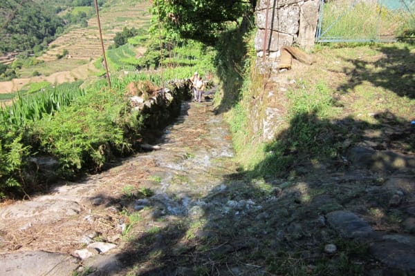 Foto 59 da atividade Galeria de Fotos