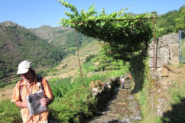 Foto 48 da atividade Galeria de Fotos