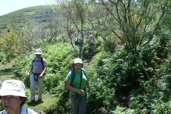 Foto 42 da atividade Galeria de Fotos