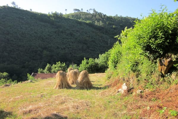 Foto 18 da atividade Galeria de Fotos