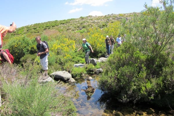 Foto 14 da atividade Galeria de Fotos