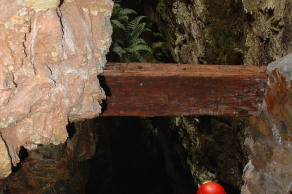 Foto 115 da atividade Galeria de Fotos