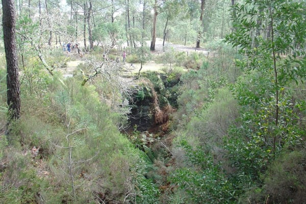 Foto 118 da atividade Galeria de Fotos