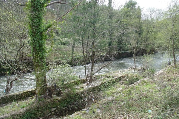 Foto 113 da atividade Galeria de Fotos