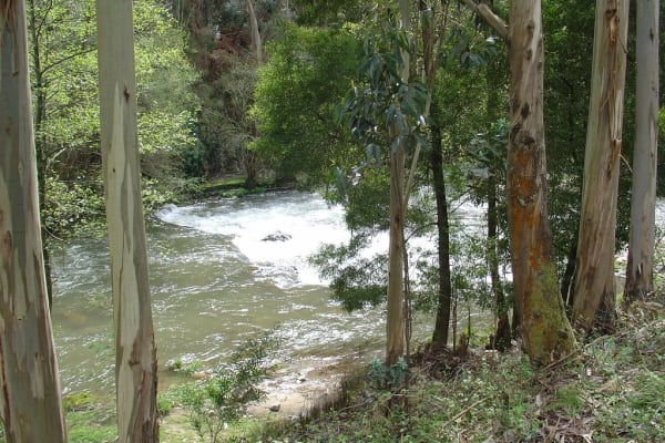 Foto 104 da atividade Galeria de Fotos