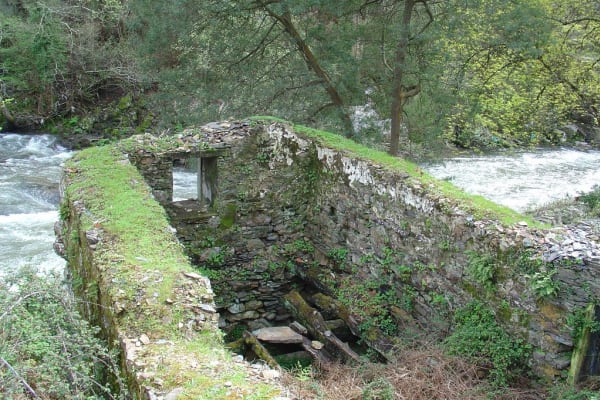 Foto 100 da atividade Galeria de Fotos