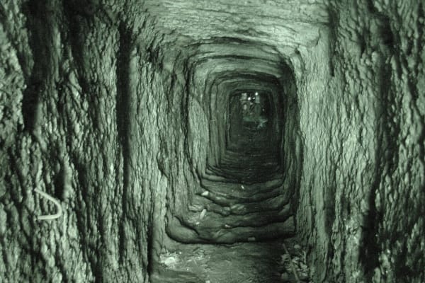 Foto 87 da atividade Galeria de Fotos