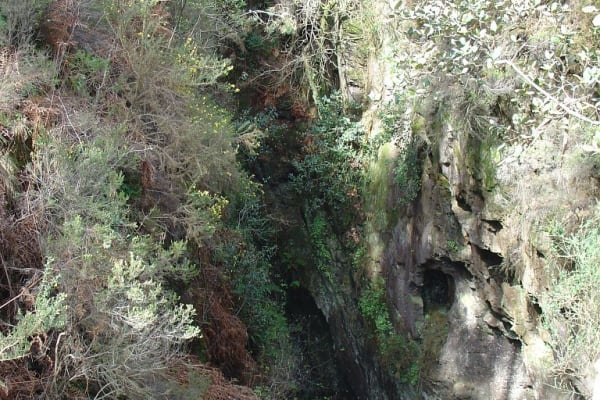 Foto 71 da atividade Galeria de Fotos