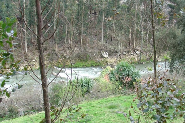 Foto 50 da atividade Galeria de Fotos