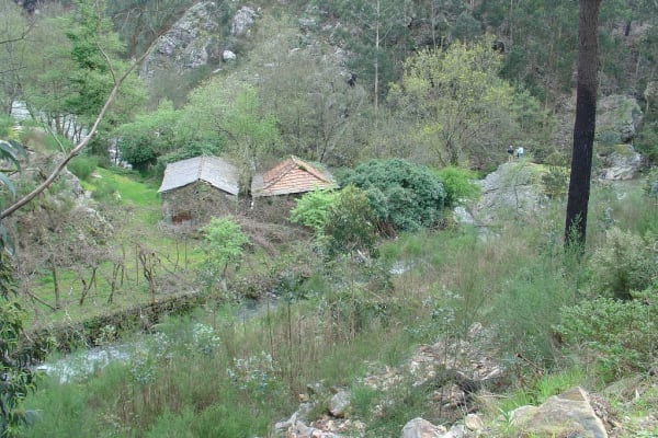 Foto 51 da atividade Galeria de Fotos