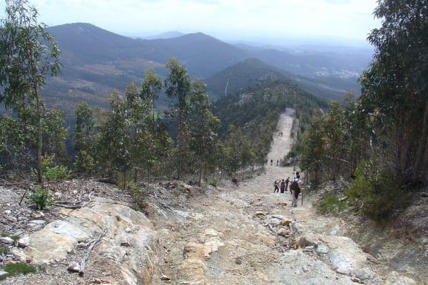 Foto 43 da atividade Galeria de Fotos