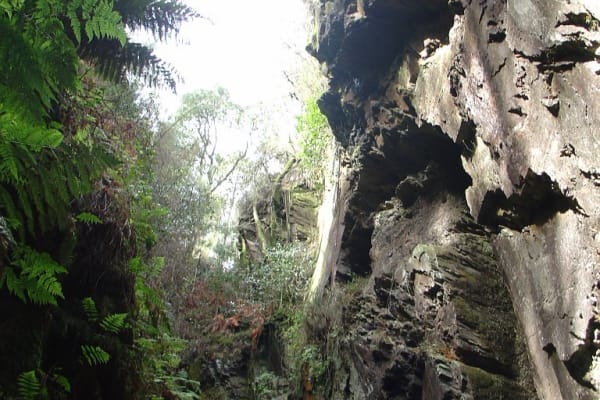 Foto 29 da atividade Galeria de Fotos